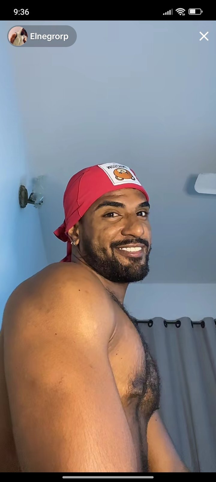 Elnegrorp