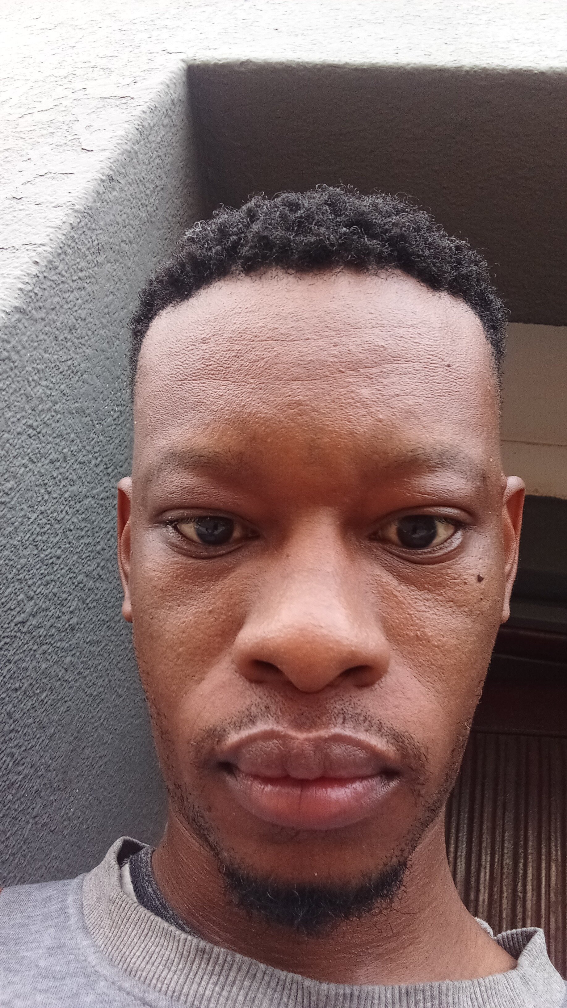 whizzydick1504