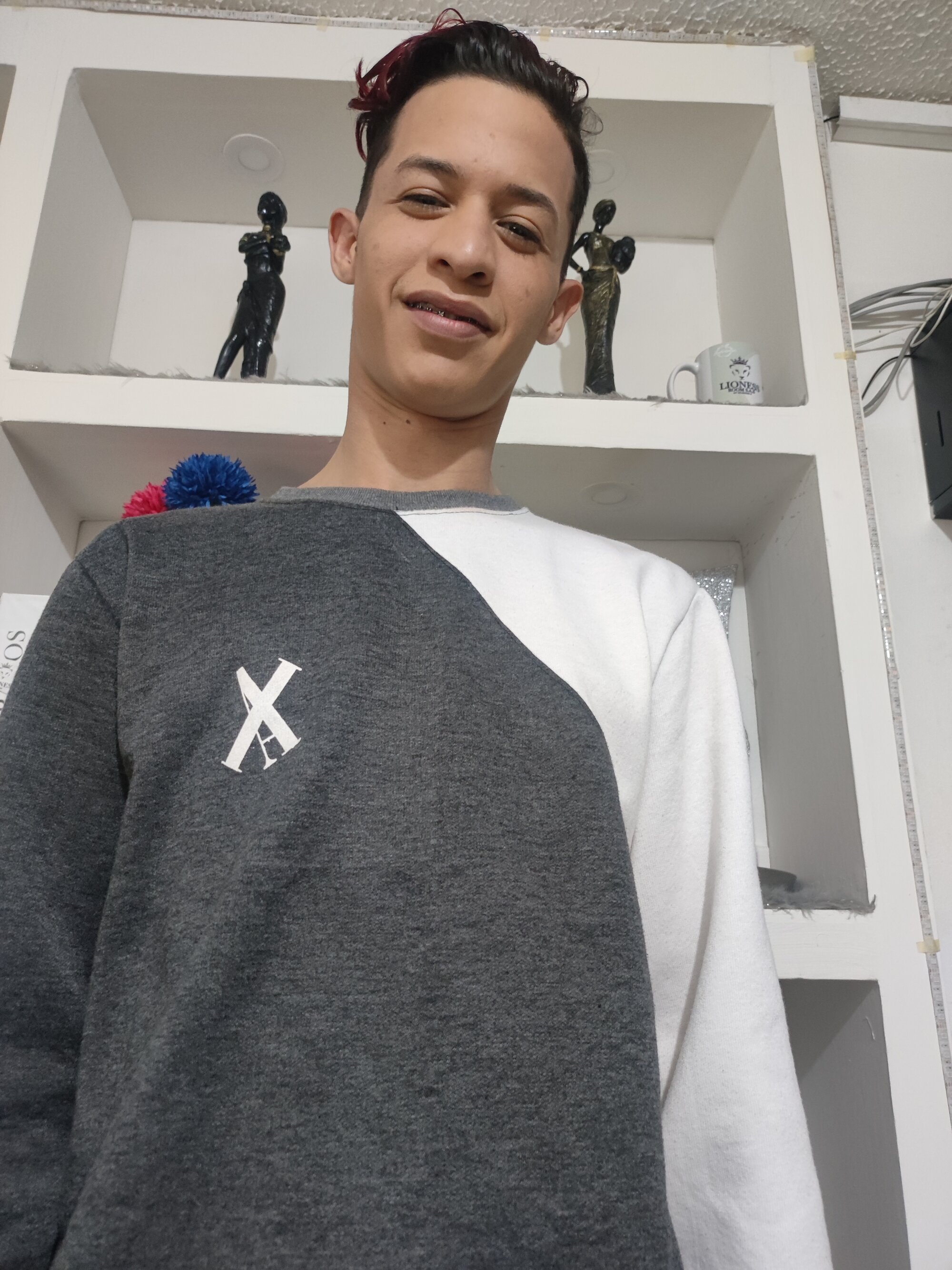 leonardo_bigcock