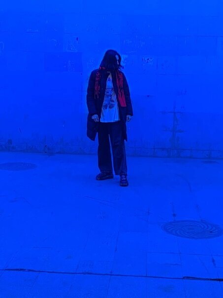 Shadow_Fox