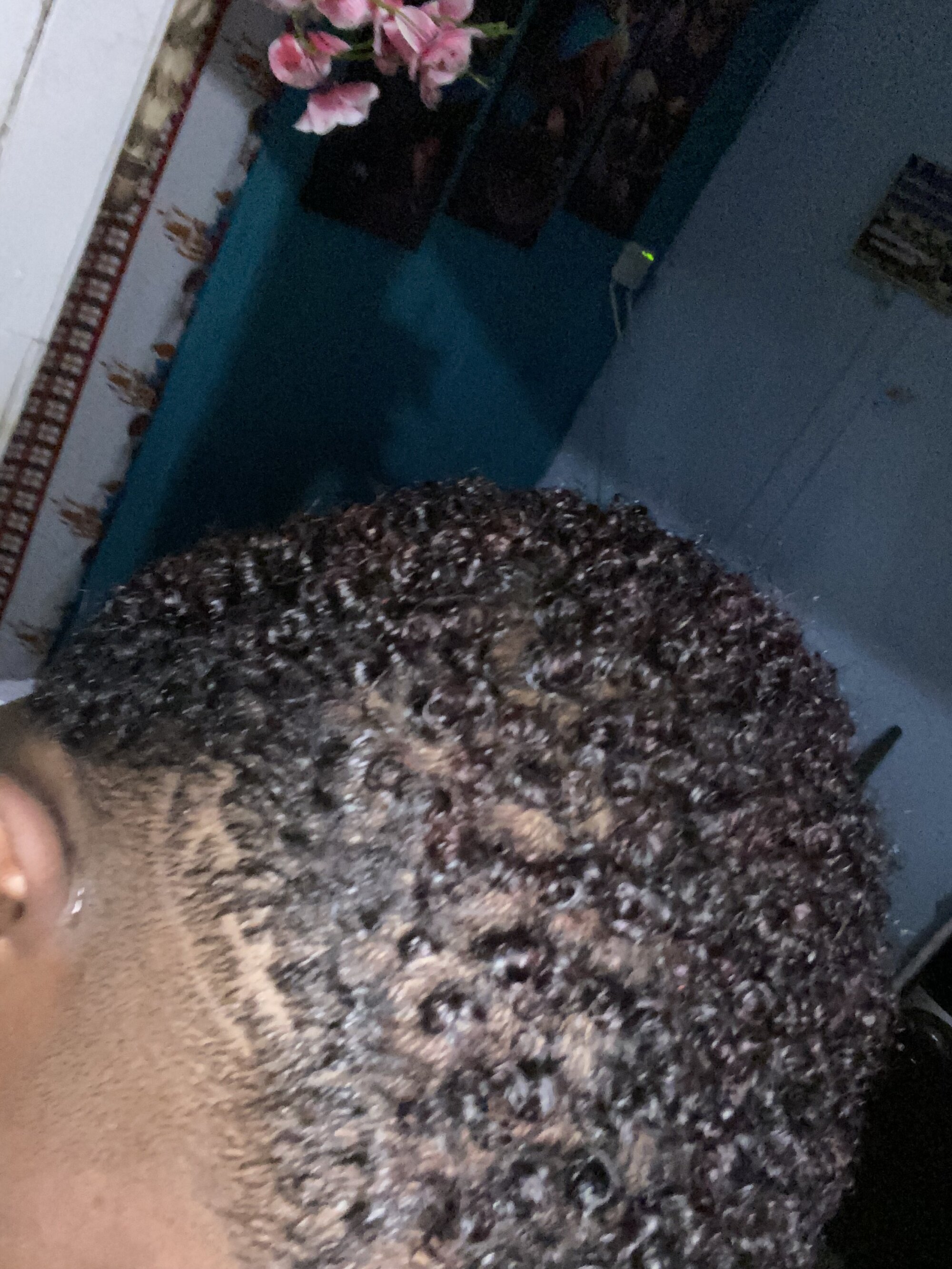 Yamil_APL