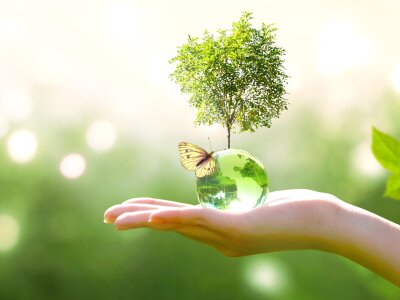 loqueseahorny Avatar