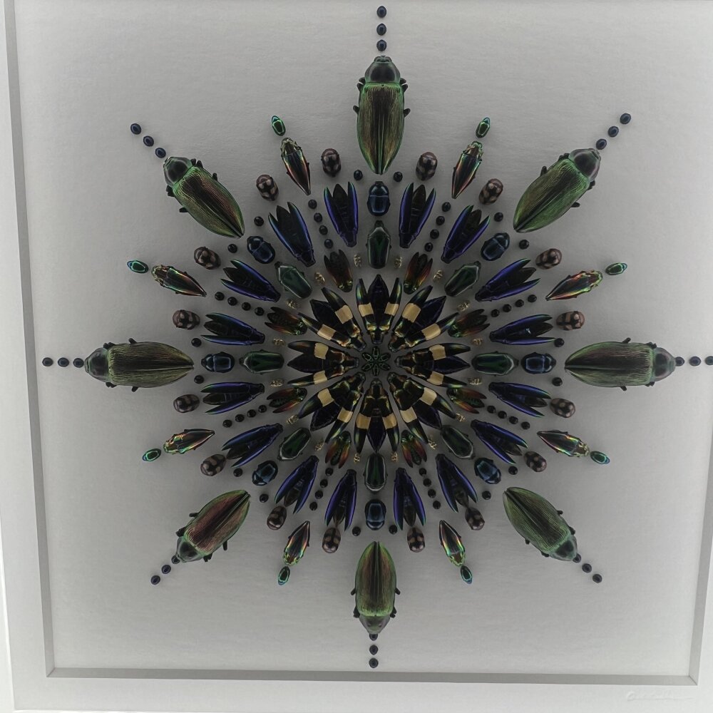 sexualhealingwithyou profile