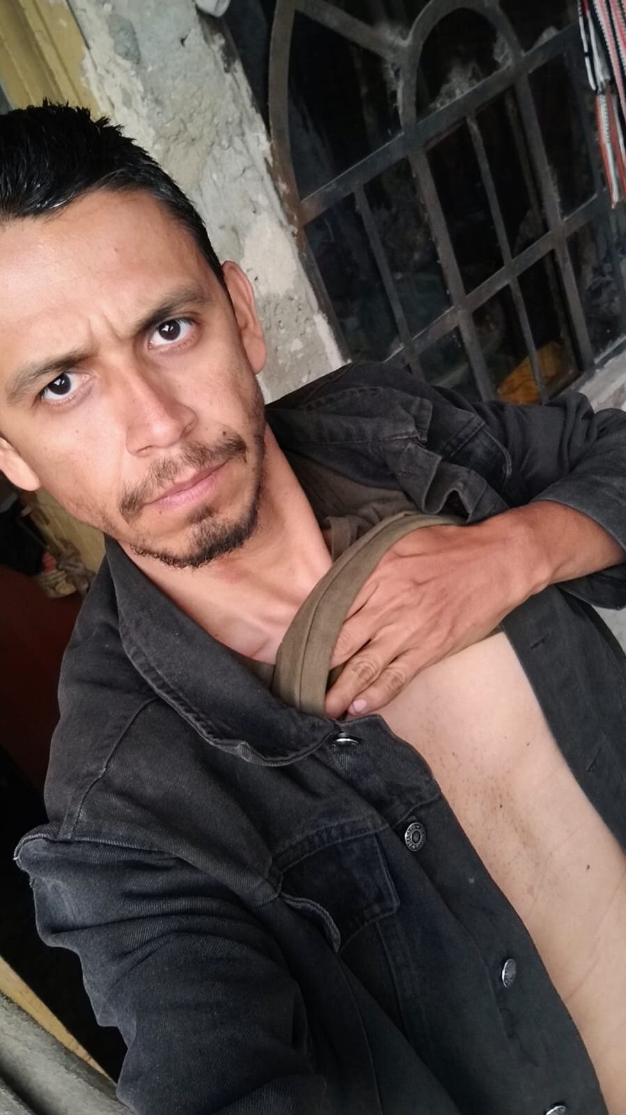 pegazo52