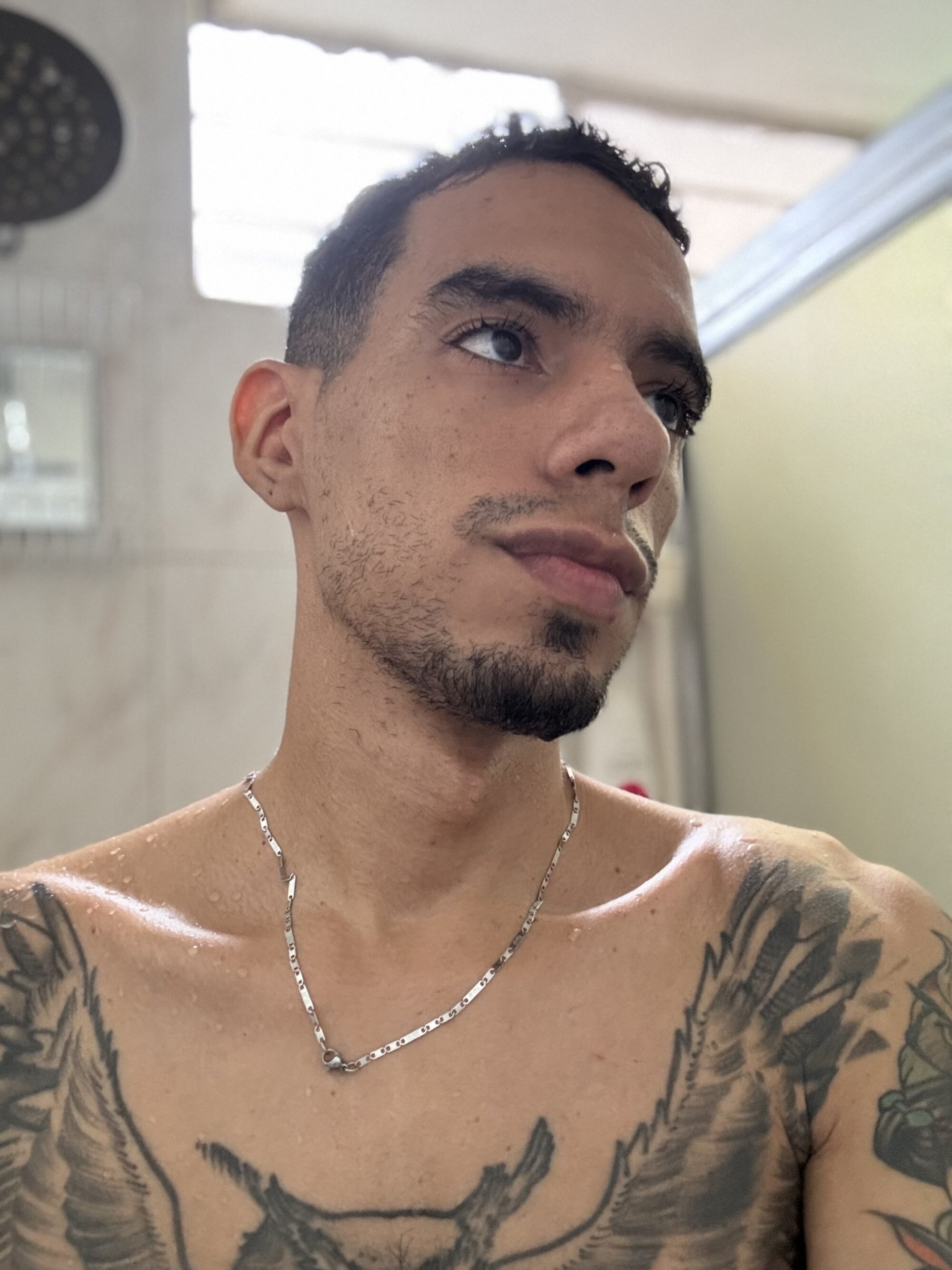 BigbacsCb