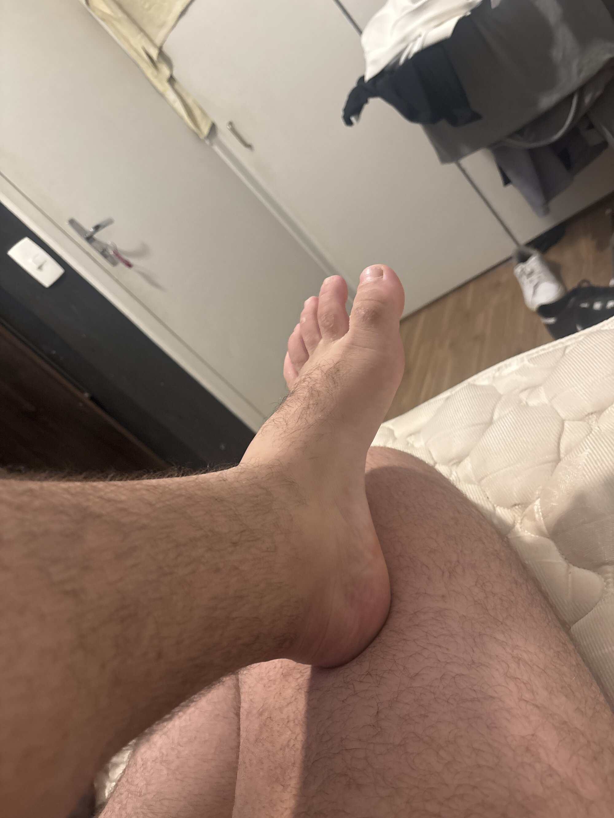gordinhopeludosp