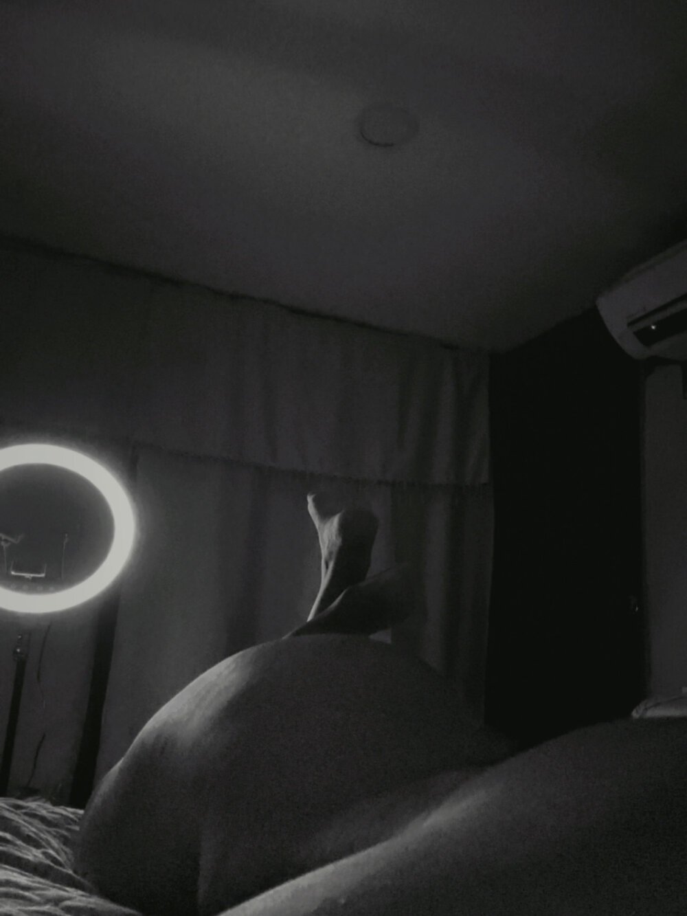 noirandlia from stripchat