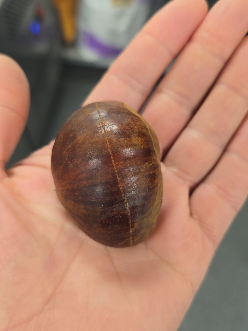 maxfelice1's Offline XXX Chat