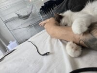 H2784 webcam thumbnail