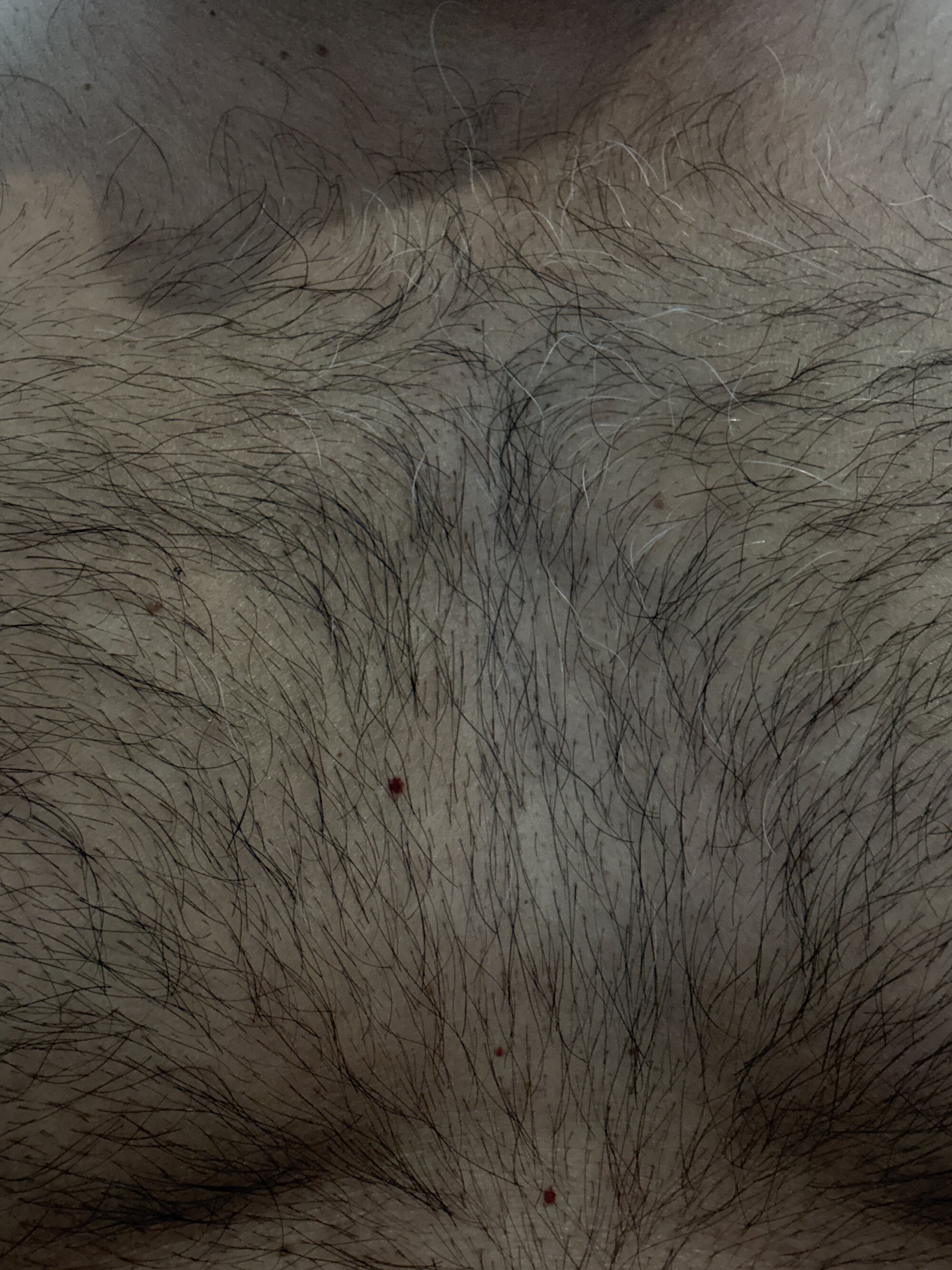 Lancer350 live webcam