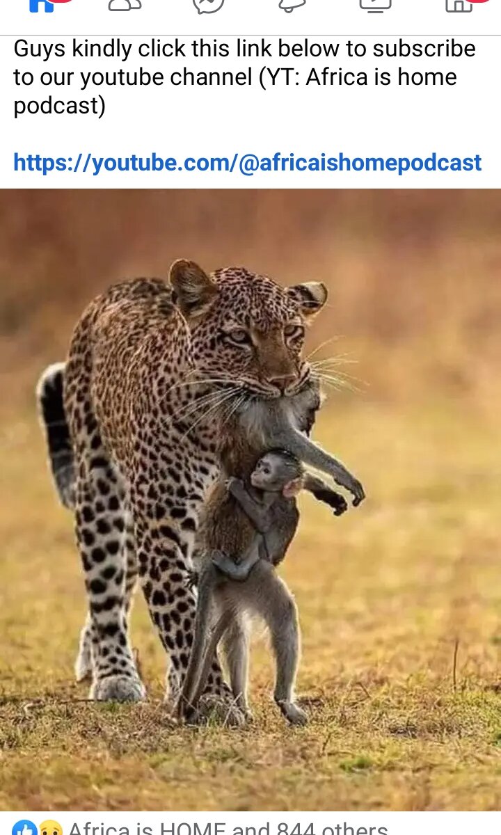 politecool's Offline XXX Chat