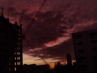 Chavivito's webcam live show