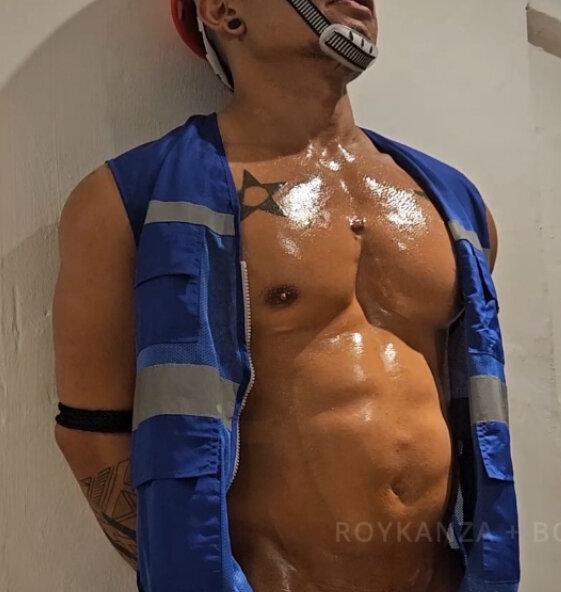 RoyDino