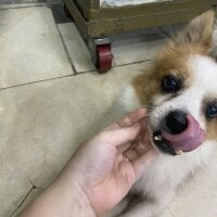 Suzie_X's webcam live show