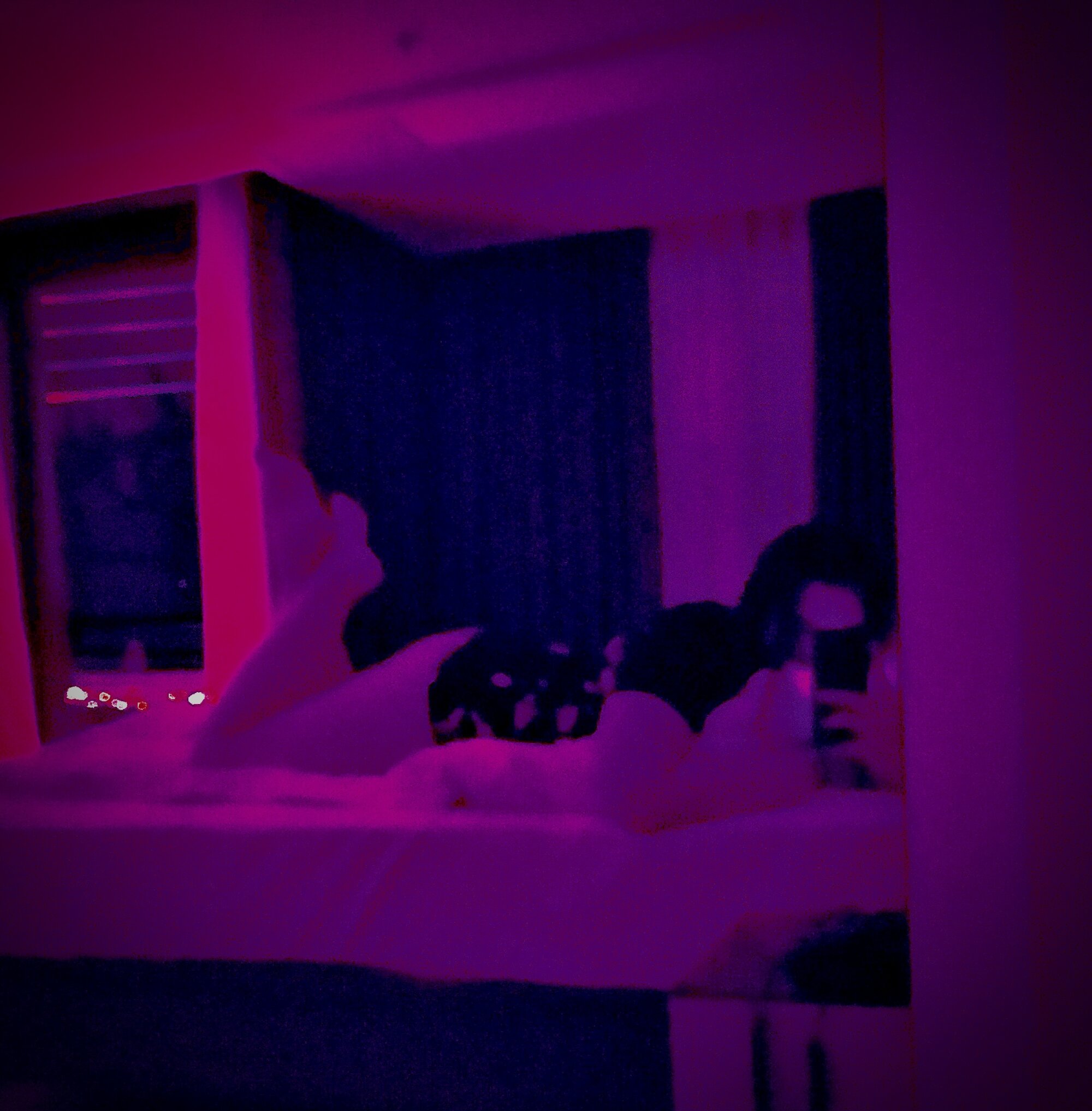 33moonlighttt11