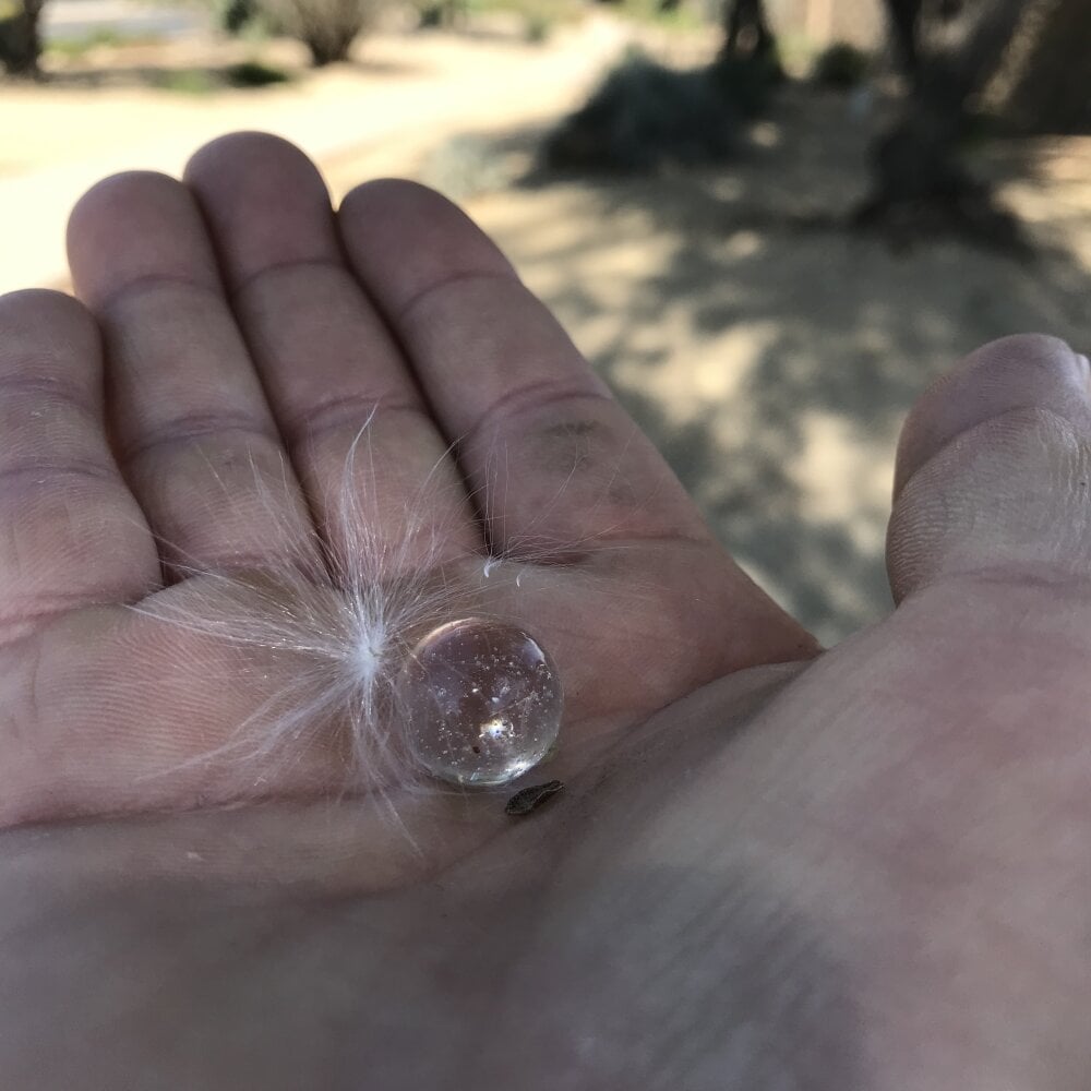 j_760 from stripchat