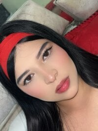 Модель Vliacoooper2