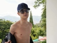 Модель wolfandsky