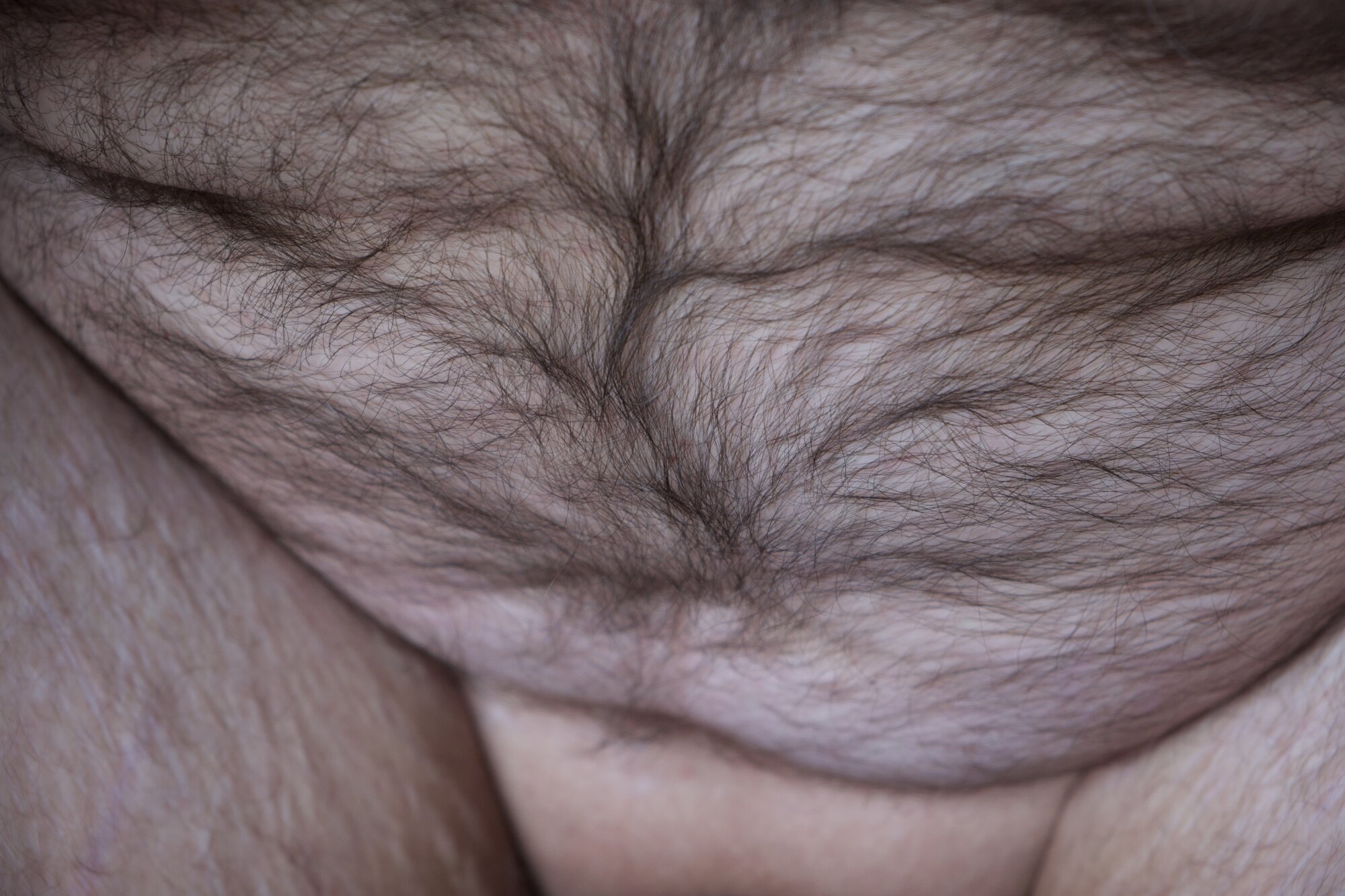 mr__bear