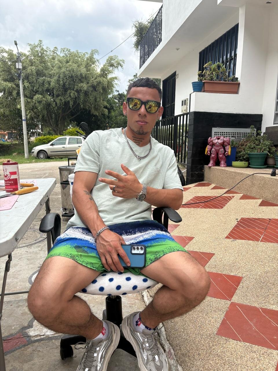 pingui_1235