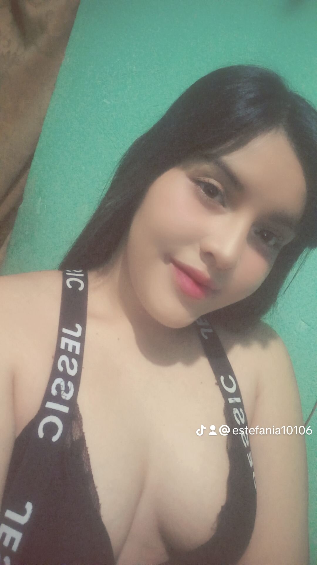 Rosa_gt