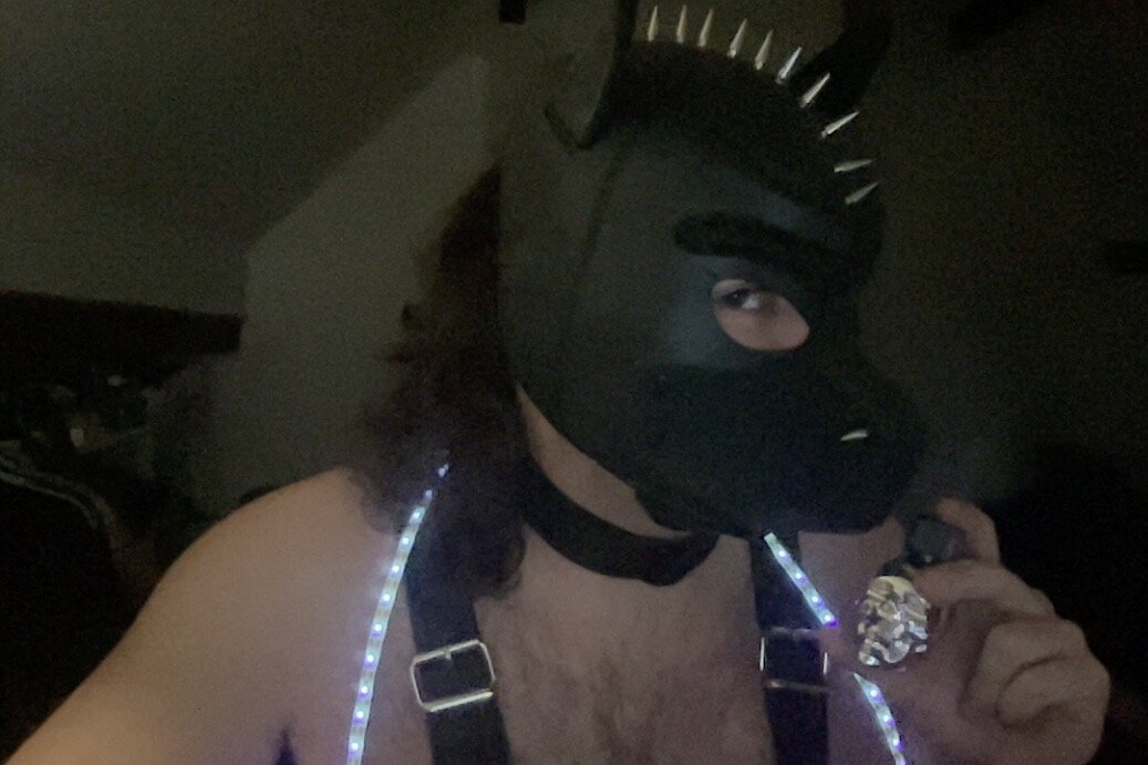 Dog-Boots