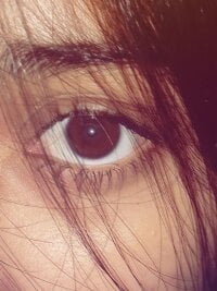 Модель Hardbabeshub