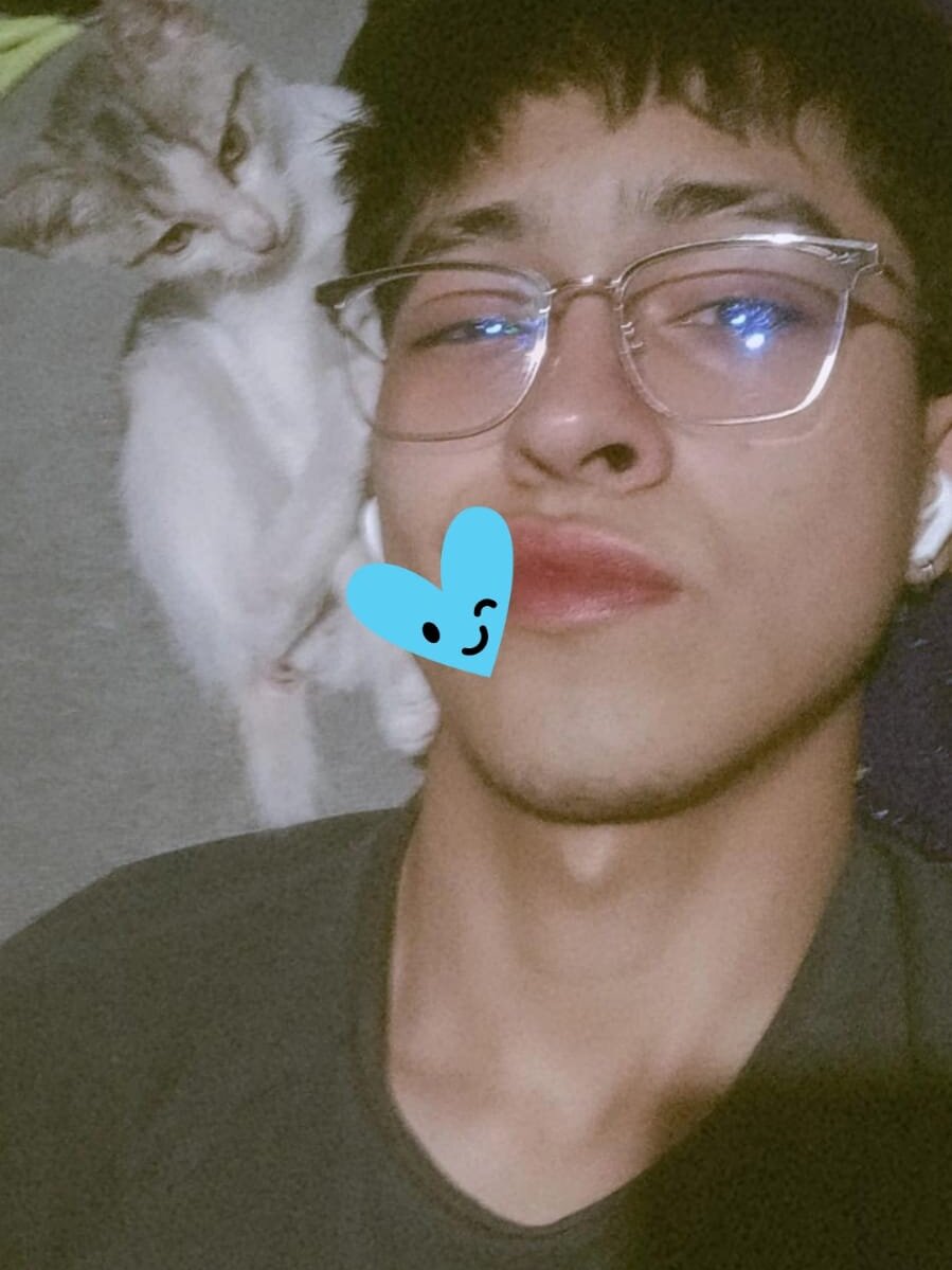 Sebas_mask profile