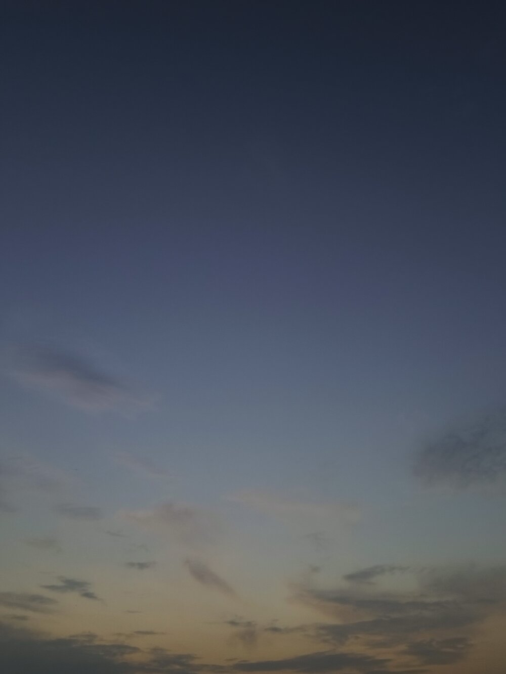 Ringbashtwice's Offline XXX Chat