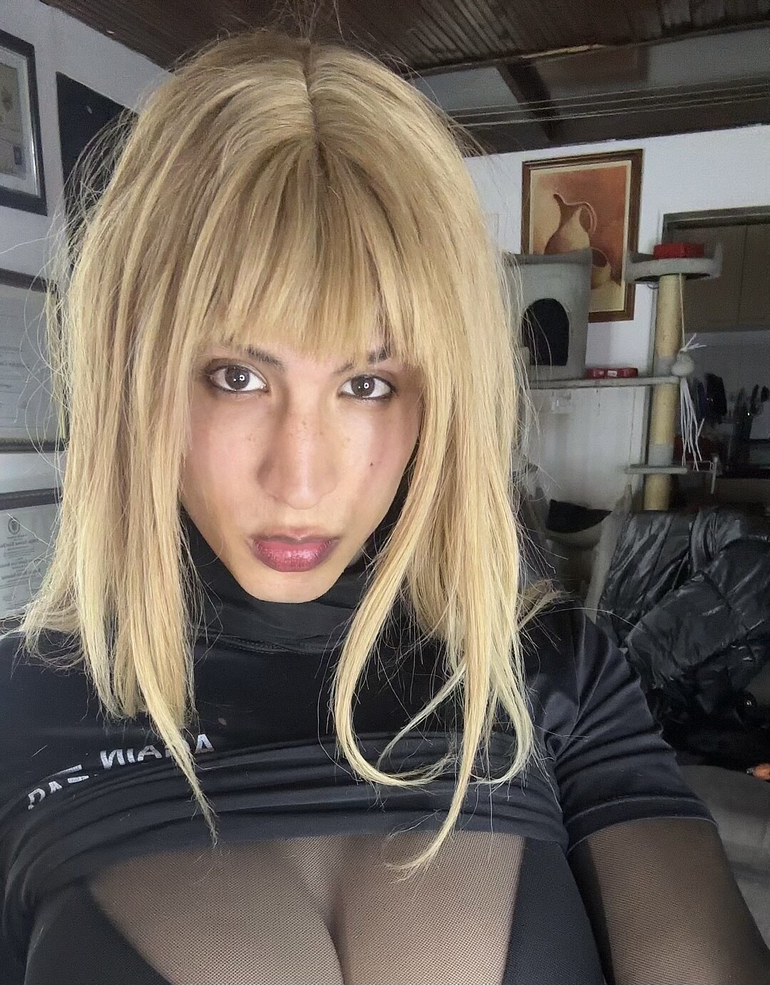 Tu_Chica_Trans_favorita