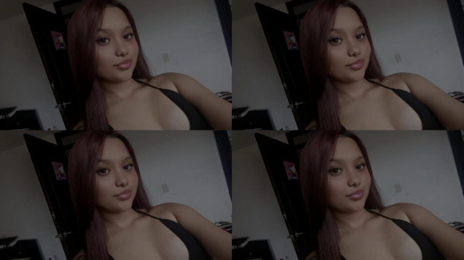 Dolly_t18