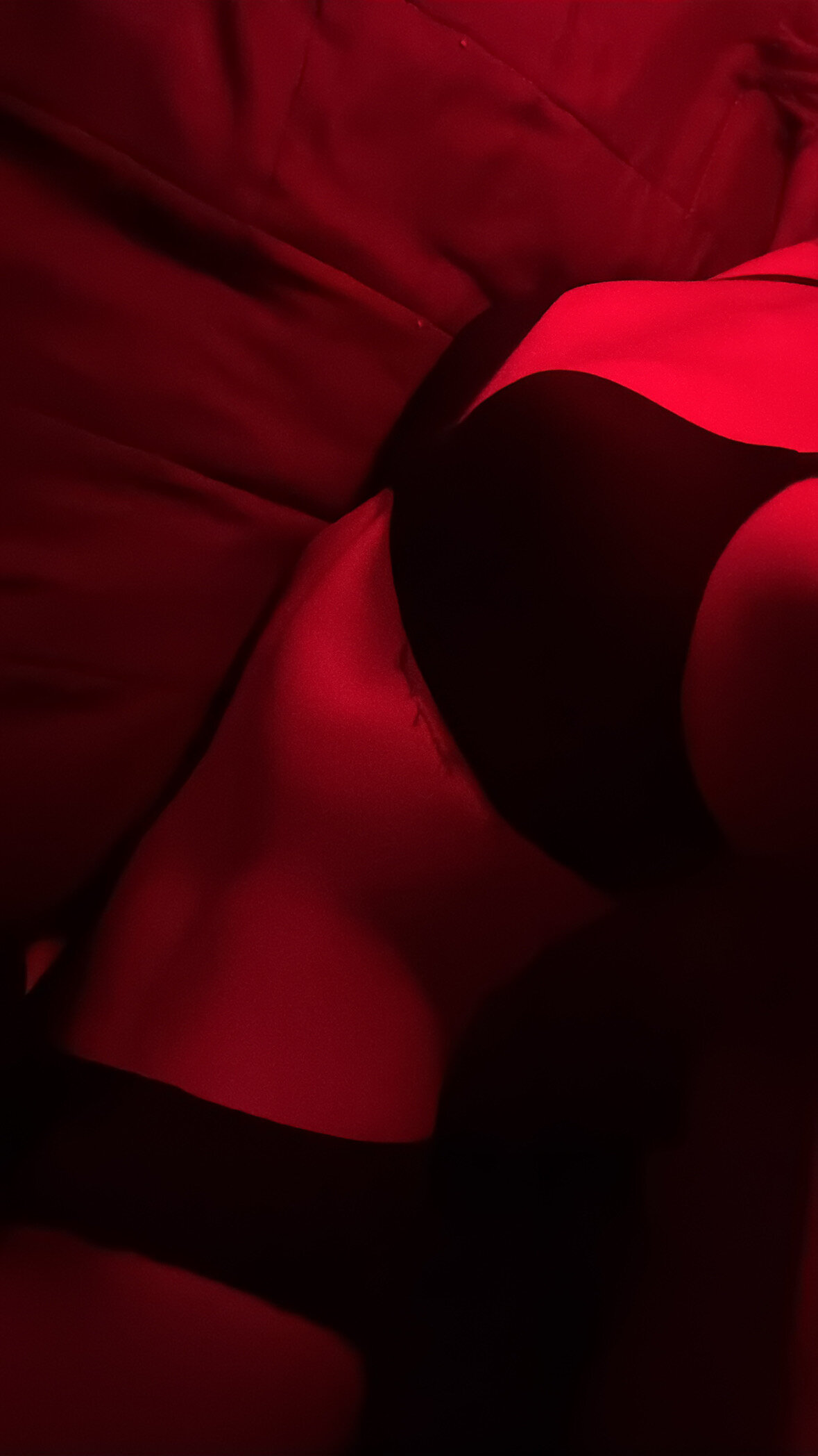 LittleKitty_Cat