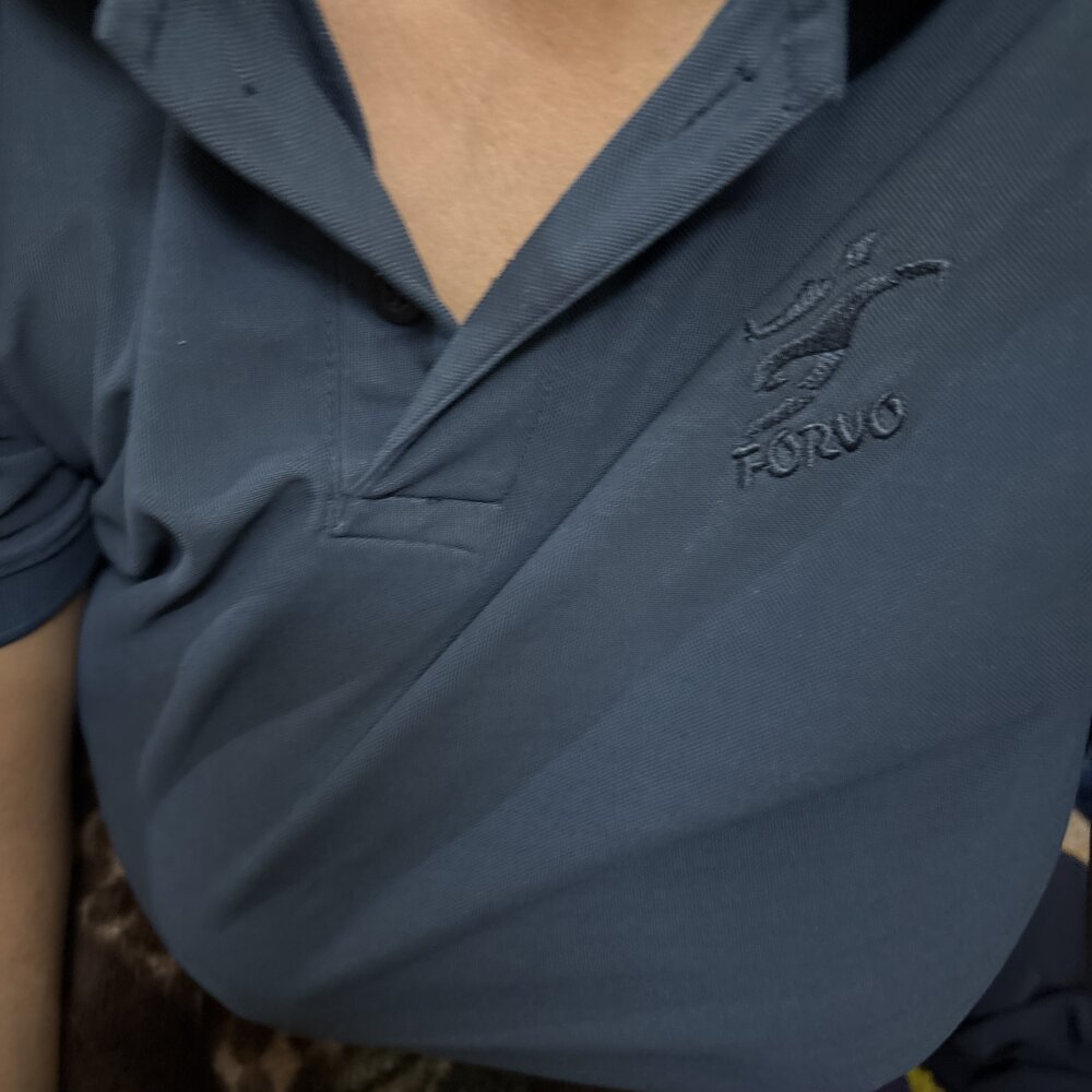 Rakhi-bhabhi's most recent online preview