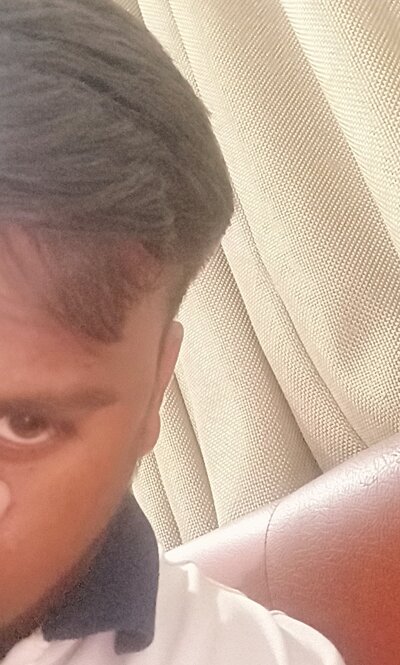 Hulk_Raj