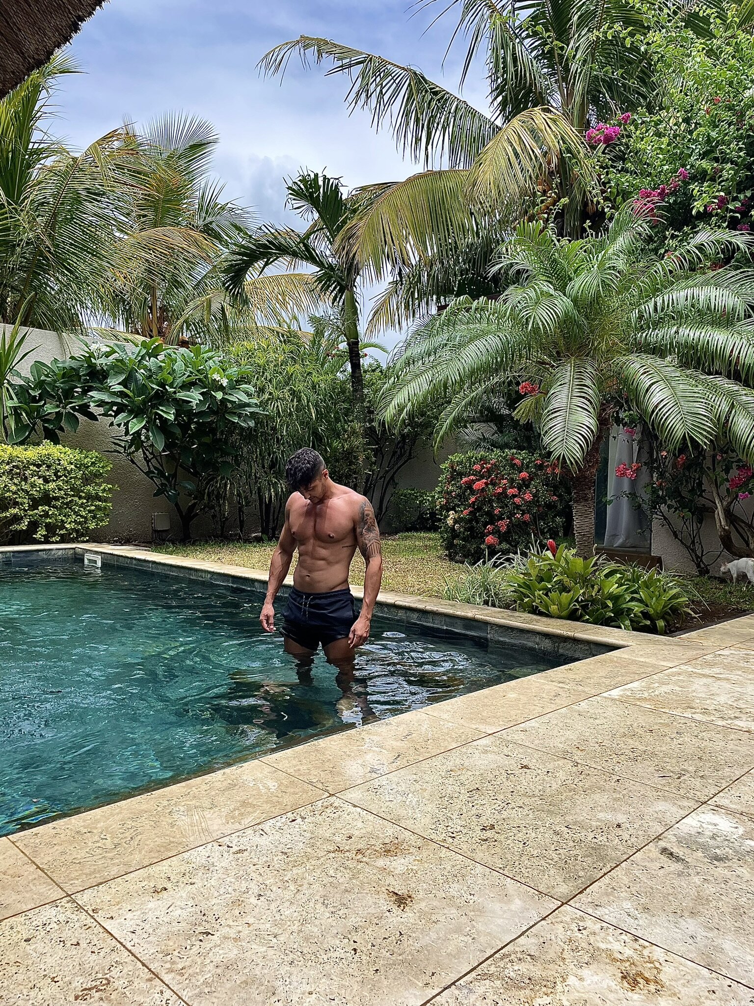 Alphastud_