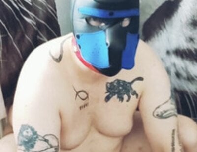 Gaywolf426