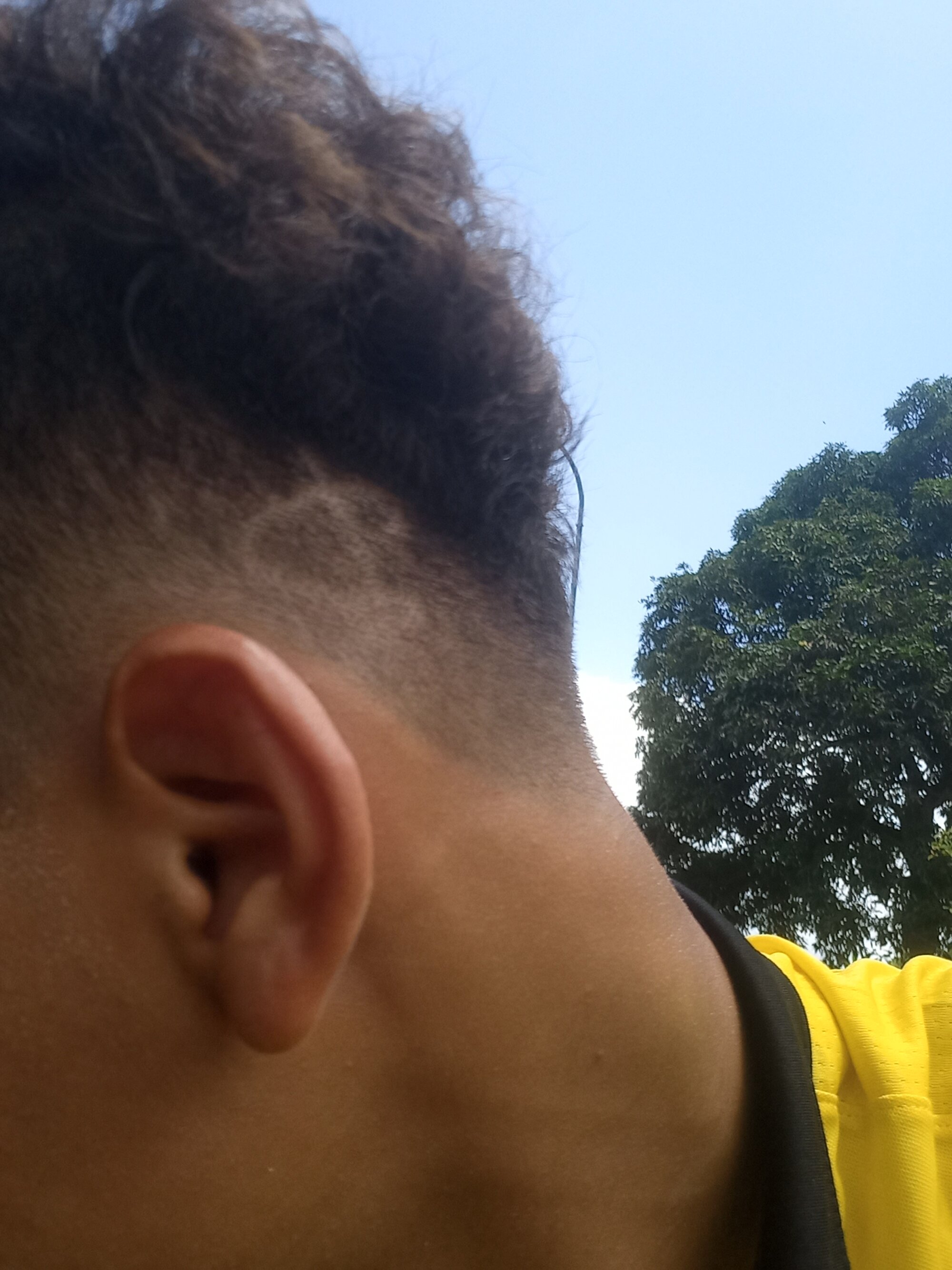 leinner_x