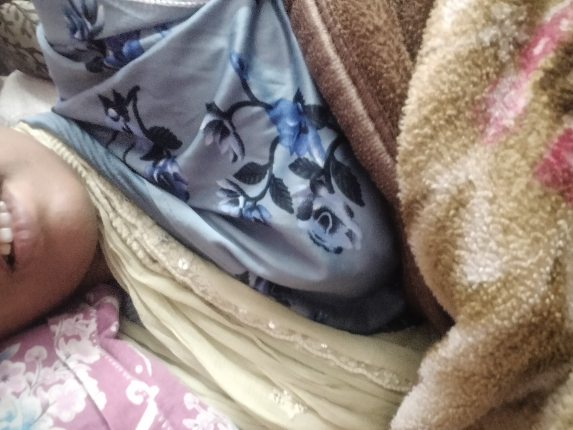 Nidhi_Roy9