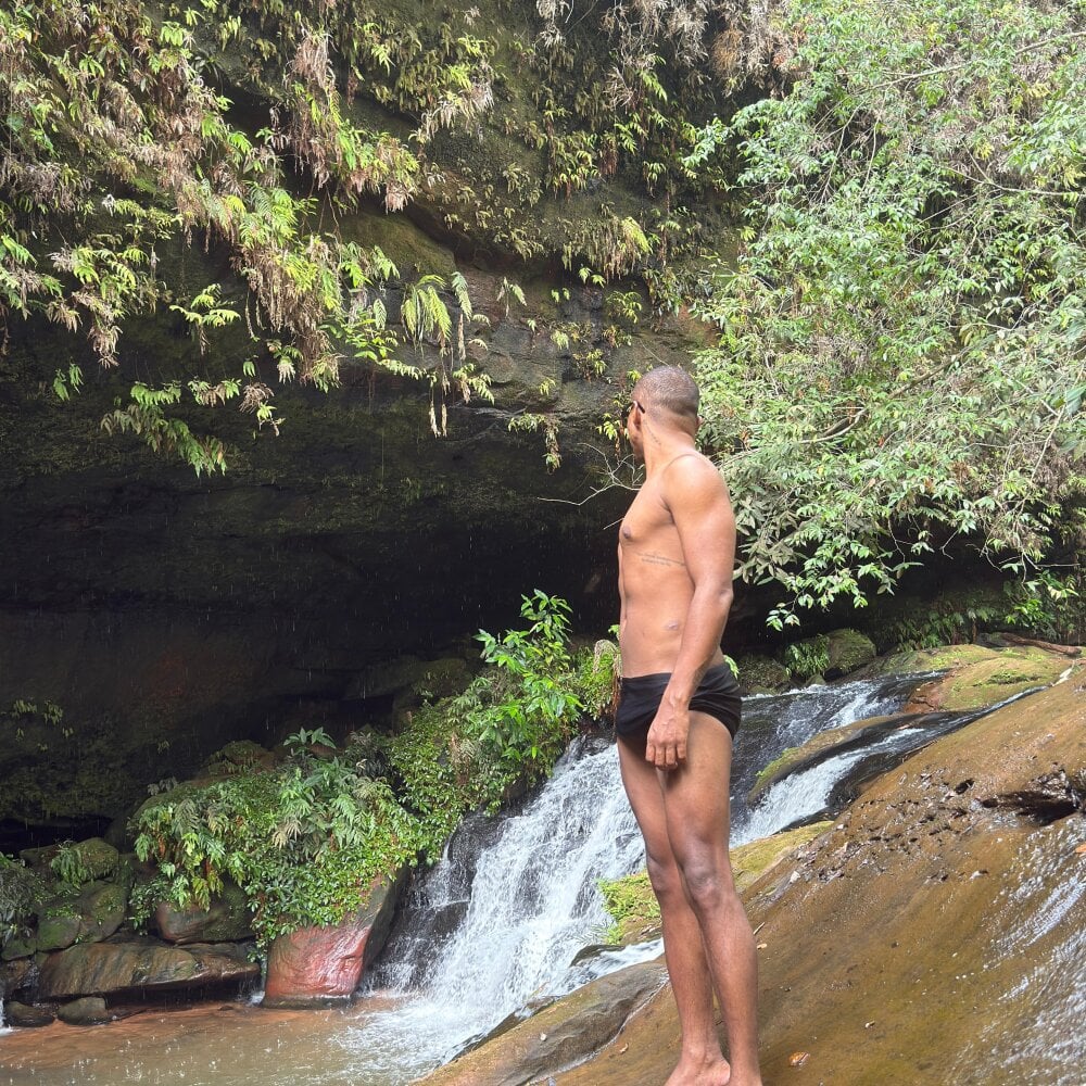 Paunoseucuzao profile