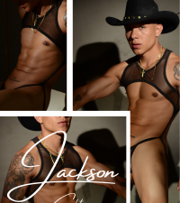 Модель JacksonColt777