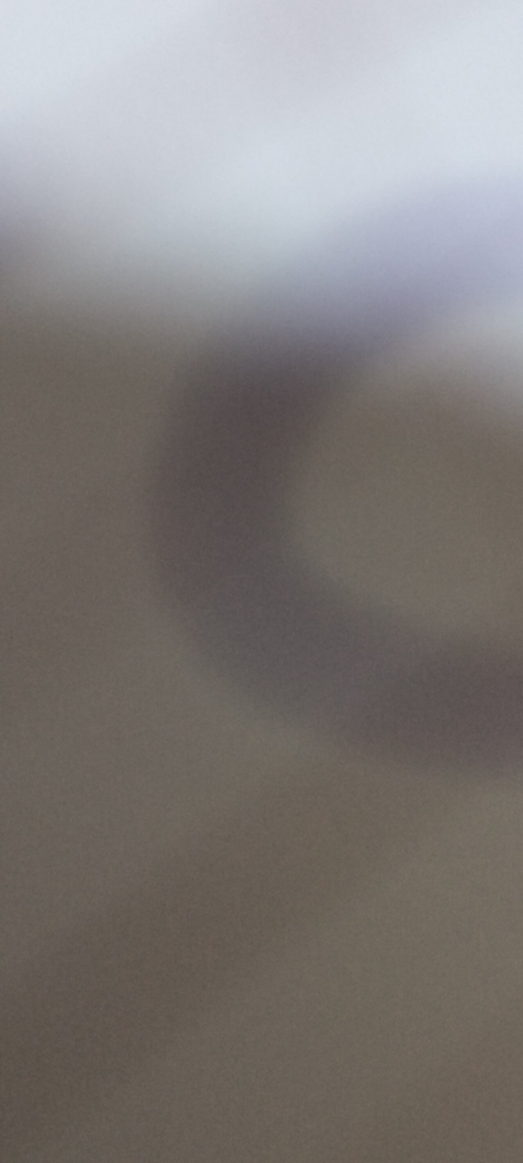 hydboy_dick live webcam