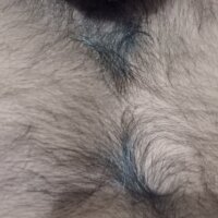 xxx_sl_fuck's Offline Chat Room