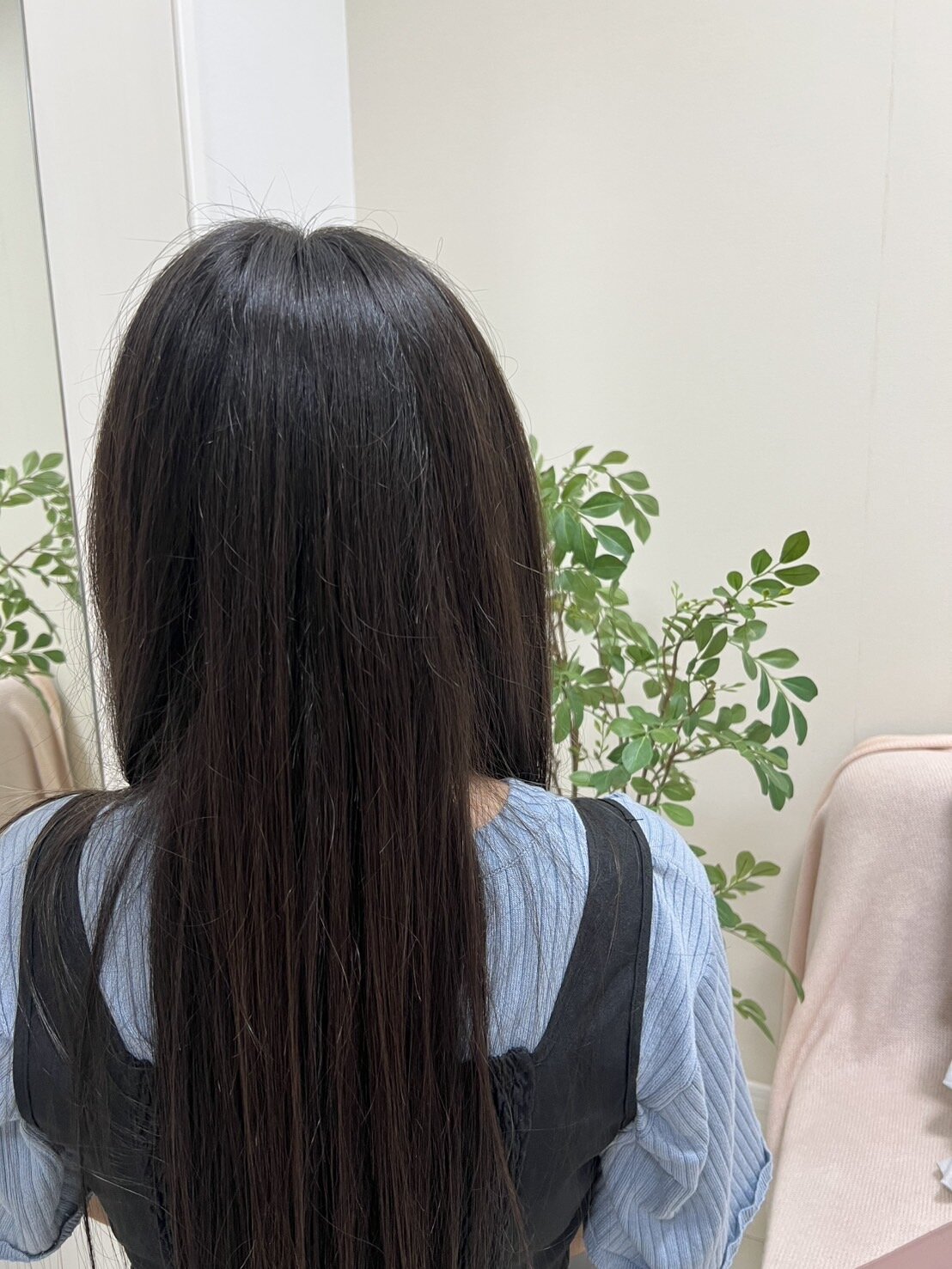 haluchan_jp