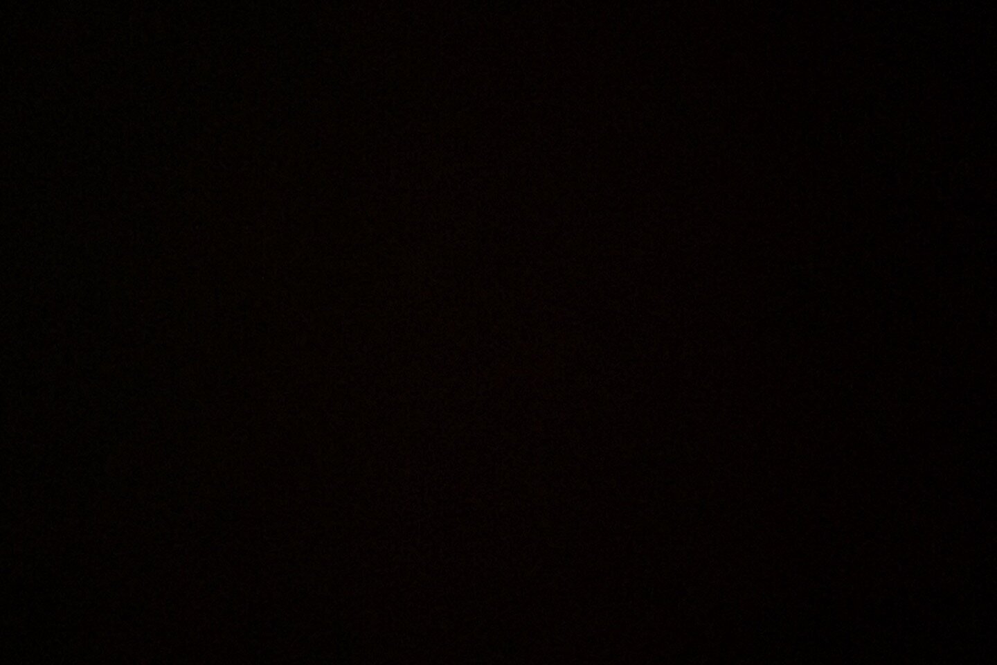 dude_dude0
