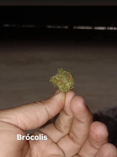 Lucaslgusto01835 profile