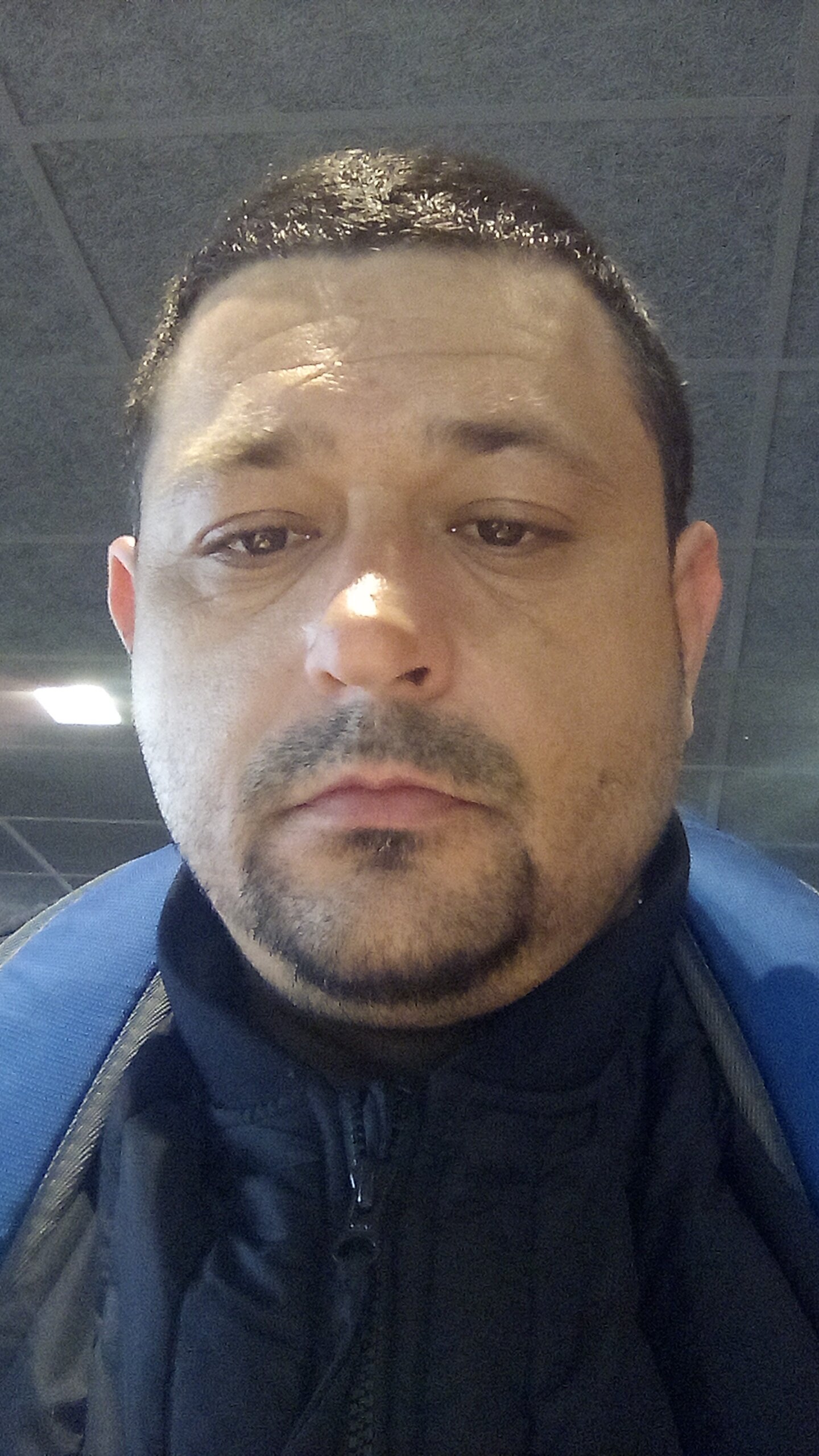 Chubbysweat