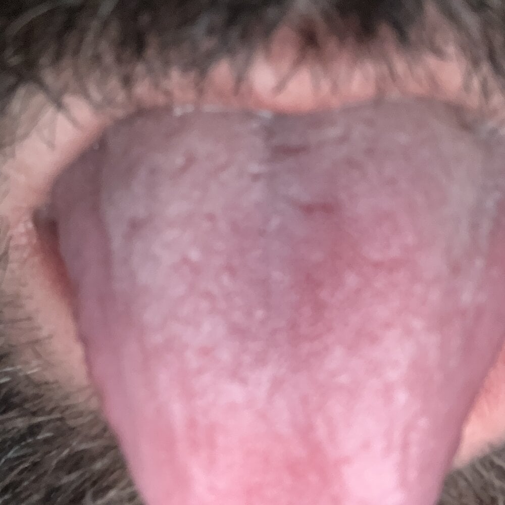donsex7 profile