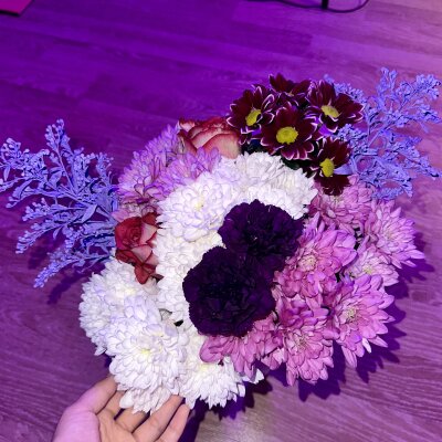 fairyyy_sexyyy private show