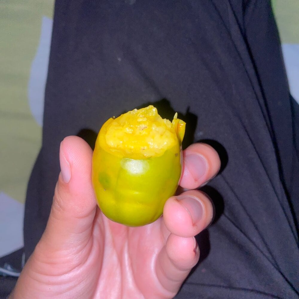 OscarENR Offline XXX-chat