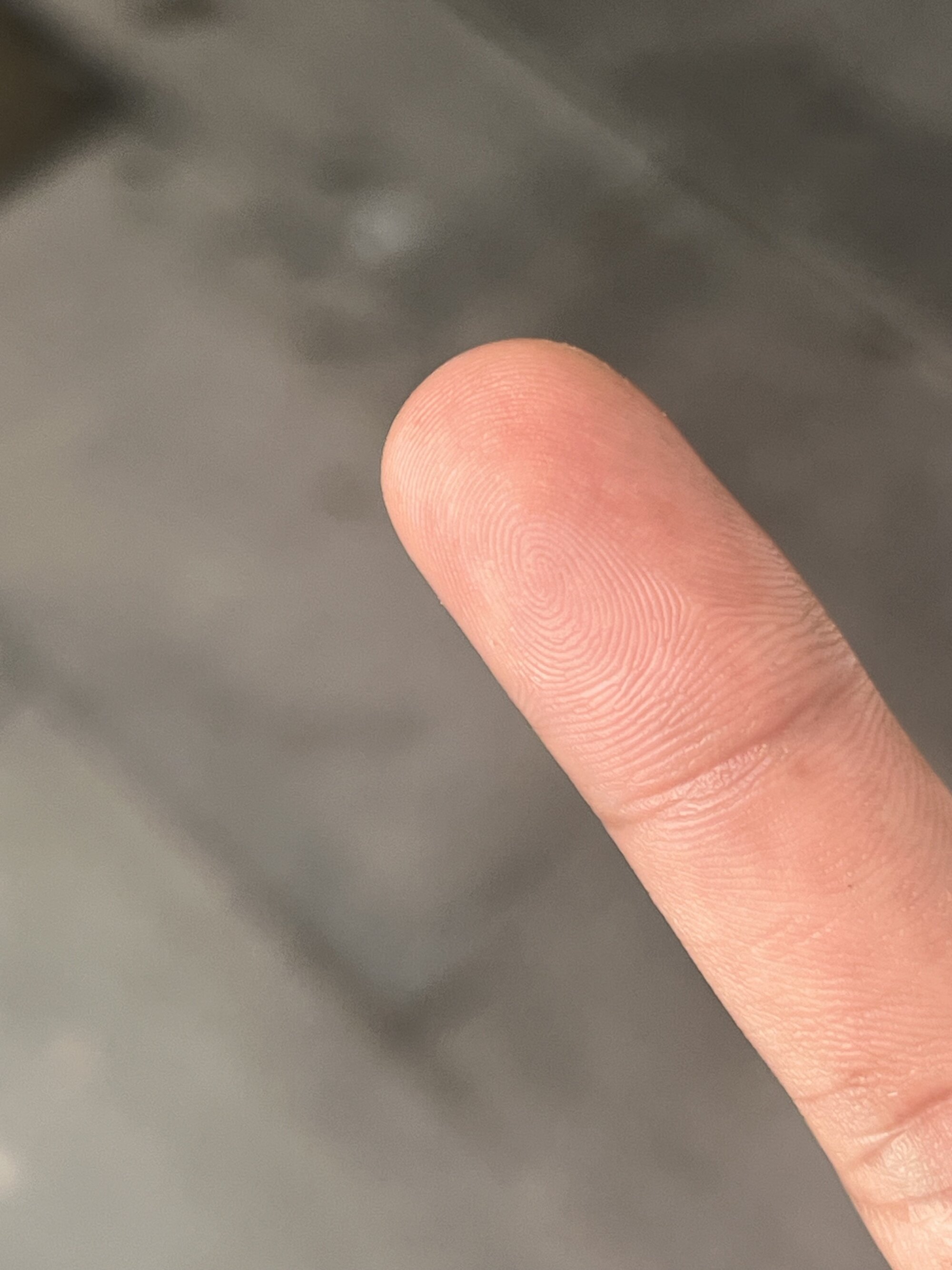 hummingbirds1612 live webcam